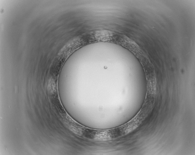 X0000060810705200511141506