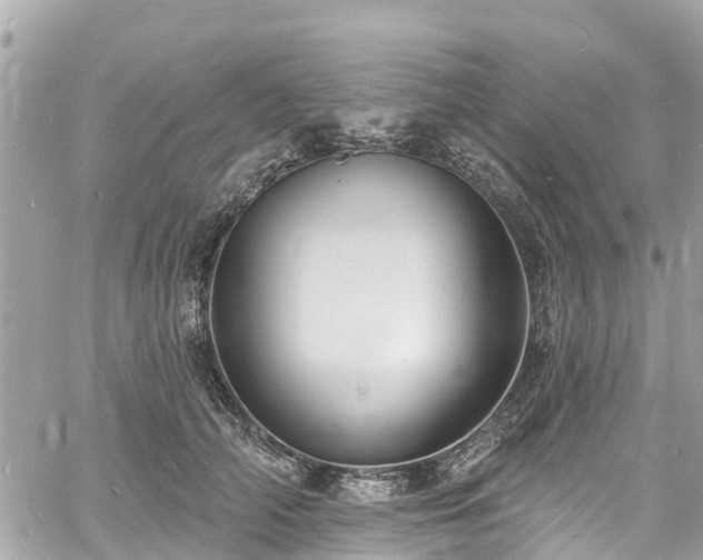 X0000060810706200511141506