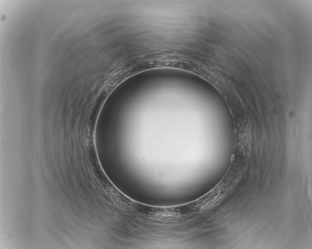 X0000060810708200511141506