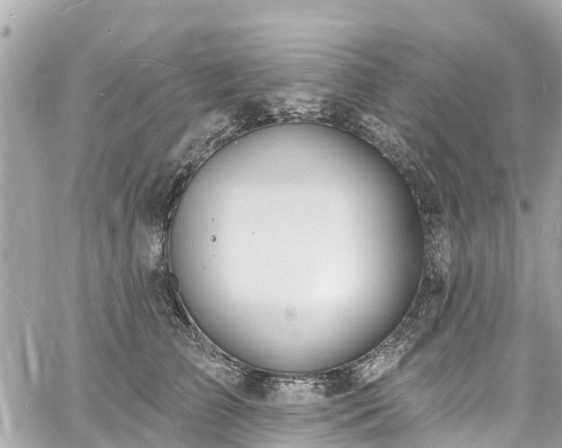 X0000060810709200511141506