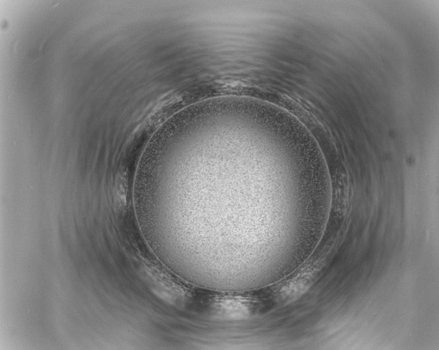 X0000060810710200511141506