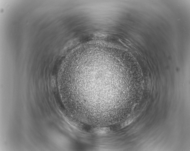 X0000060810711200511141506