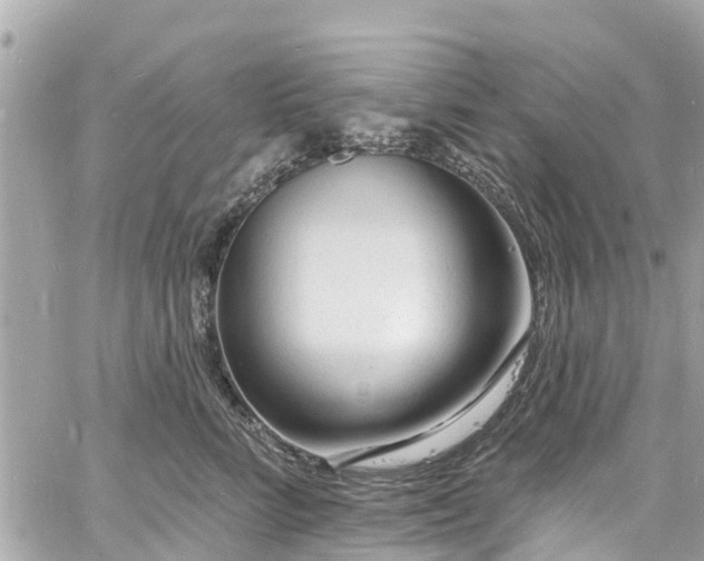 X0000060810712200511141506