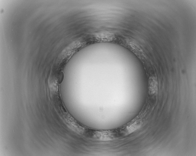 X0000060810713200511141506