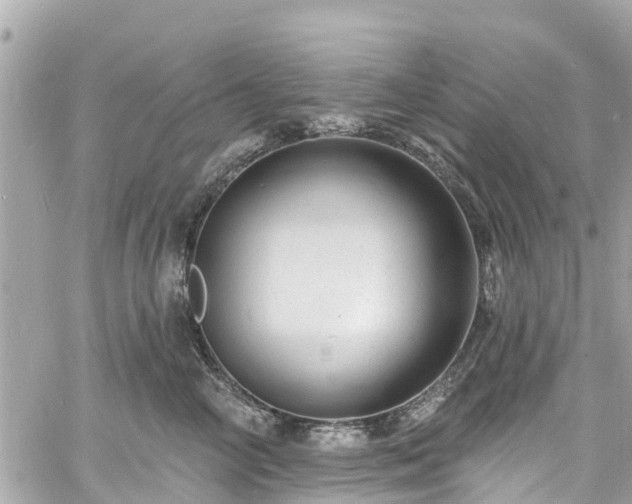 X0000060810714200511141506