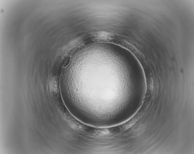 X0000060810715200511141506