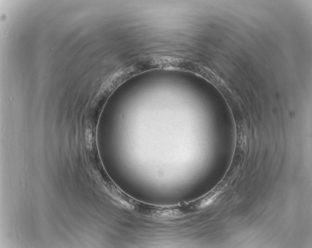 X0000060810716200511141506