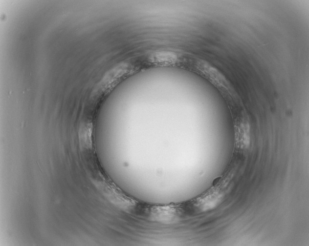 X0000060810717200511141506