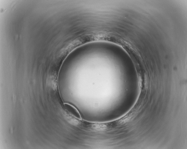 X0000060810719200511141506