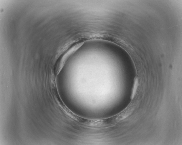 X0000060810720200511141506