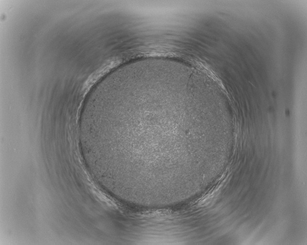 X0000060810721200511141505