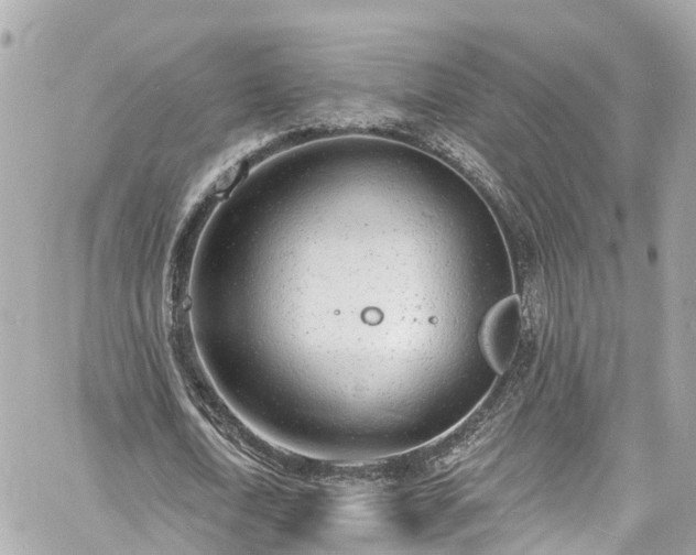 X0000060810722200511141505