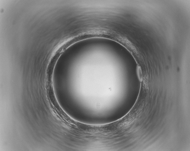 X0000060810724200511141505