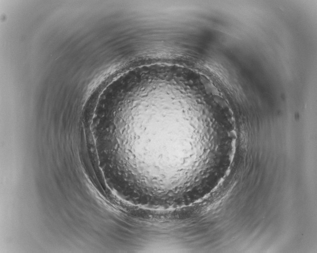 X0000060810725200511141505