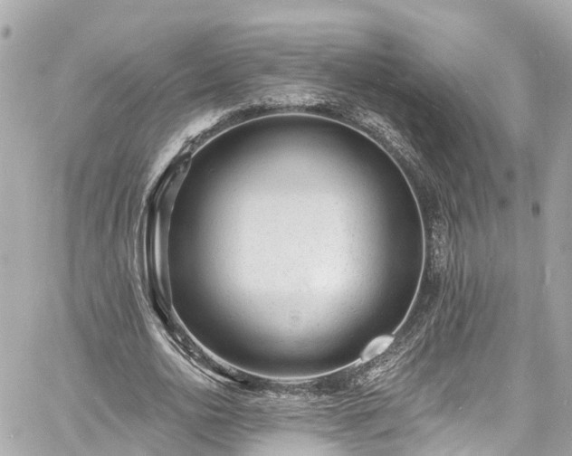 X0000060810726200511141505