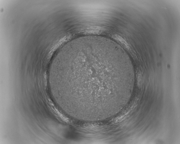 X0000060810729200511141505