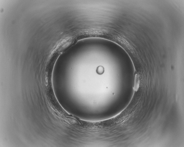 X0000060810731200511141505