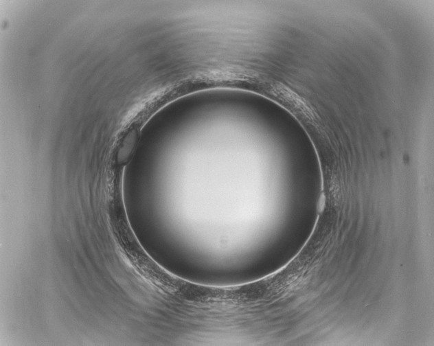 X0000060810732200511141505