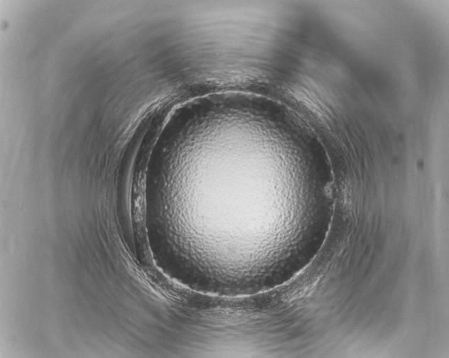 X0000060810733200511141505