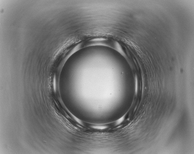 X0000060810735200511141505