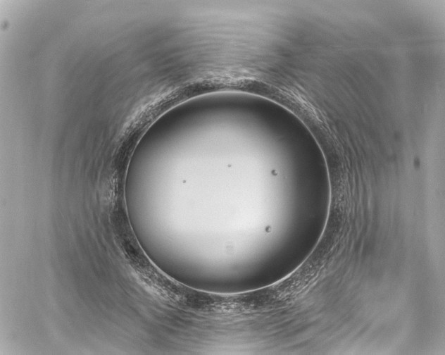 X0000060810736200511141505