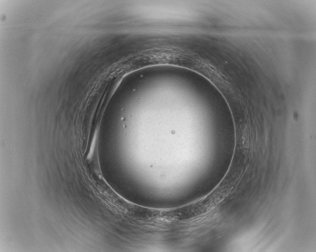 X0000060810737200511141506