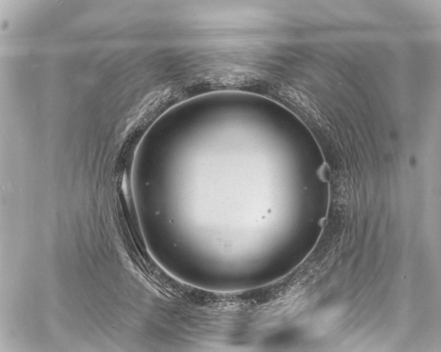 X0000060810738200511141506