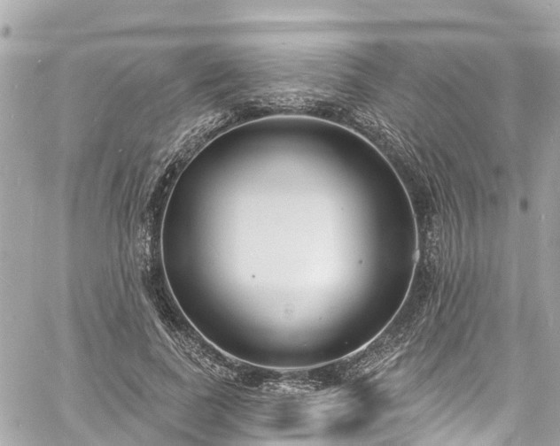 X0000060810739200511141506