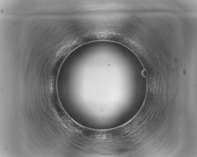 X0000060810740200511141506