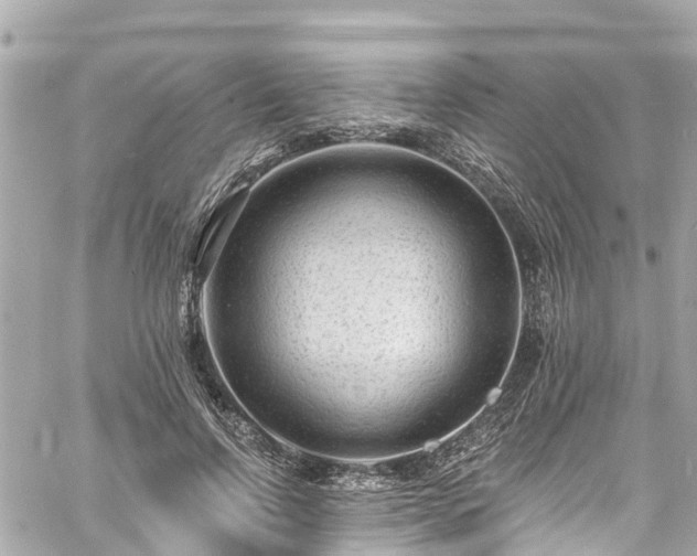 X0000060810742200511141506