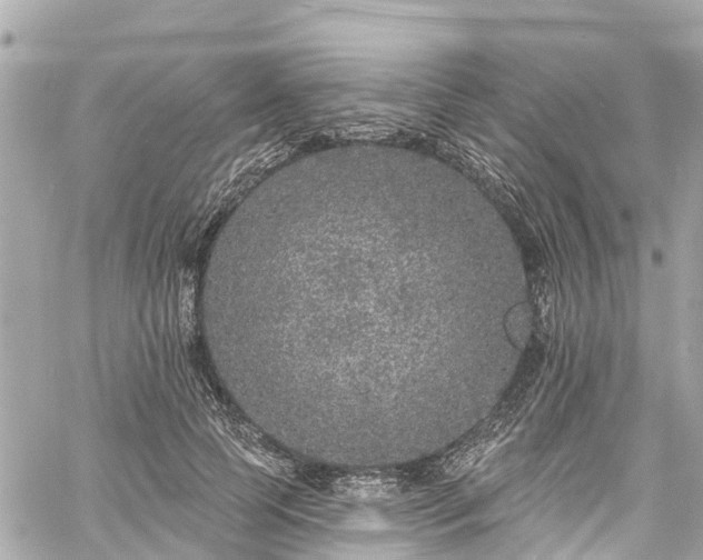 X0000060810745200511141506