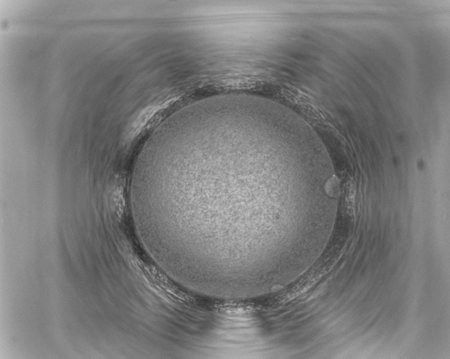 X0000060810746200511141506