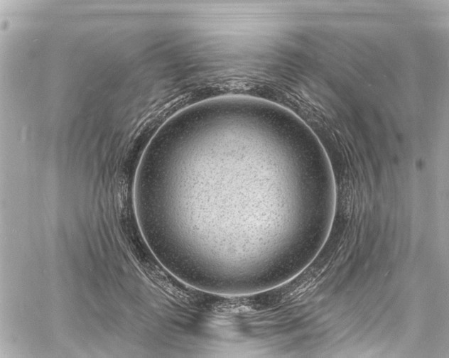 X0000060810747200511141506