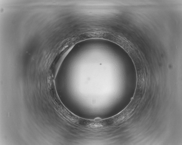 X0000060810749200511141506