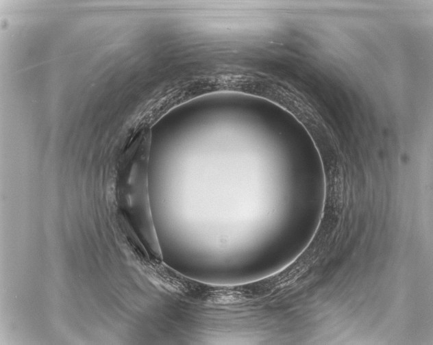 X0000060810750200511141506