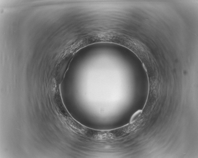 X0000060810752200511141506