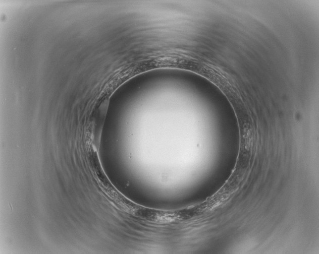 X0000060810753200511141506