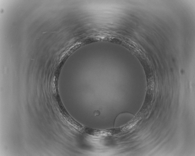 X0000060810754200511141506