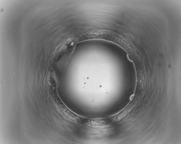 X0000060810758200511141506