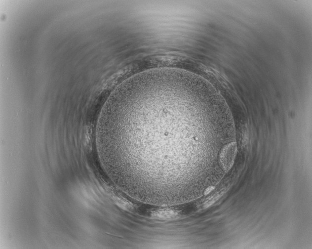 X0000060810759200511141506