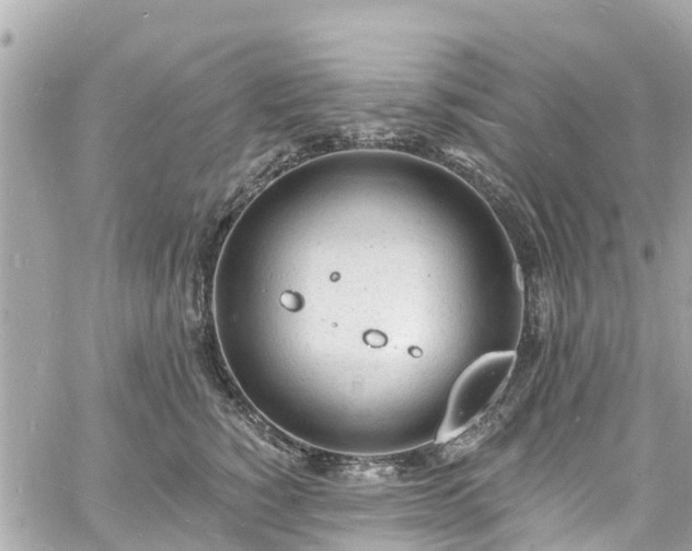 X0000060810760200511141506