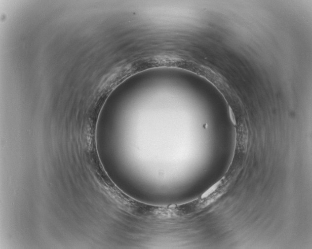 X0000060810762200511141506