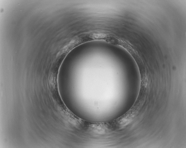 X0000060810763200511141506