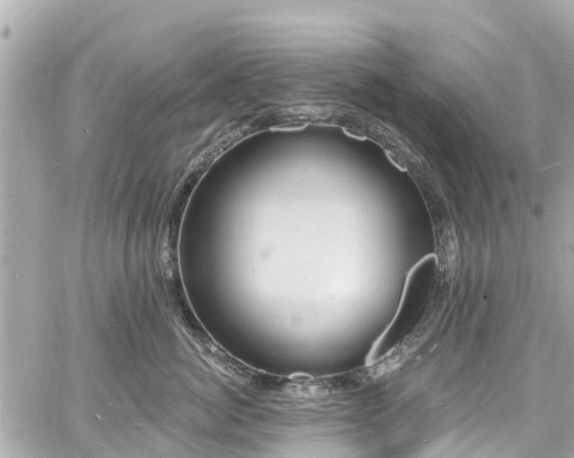 X0000060810764200511141506