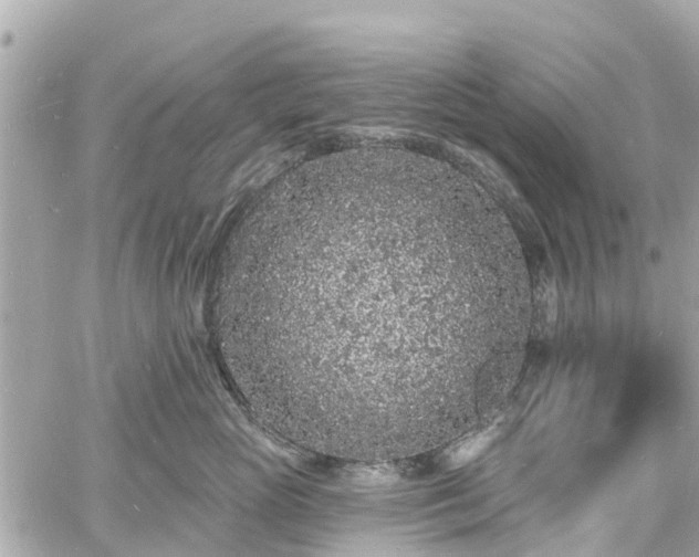 X0000060810765200511141506