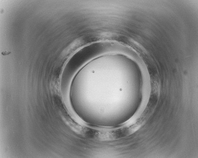 X0000060810766200511141506