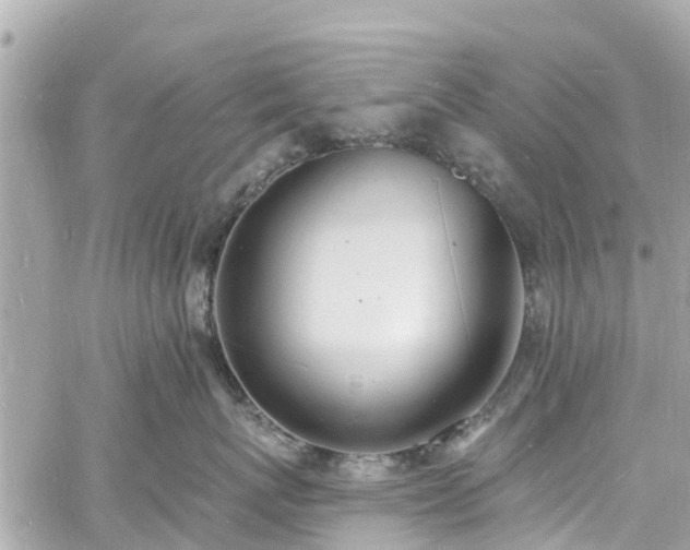 X0000060810767200511141506