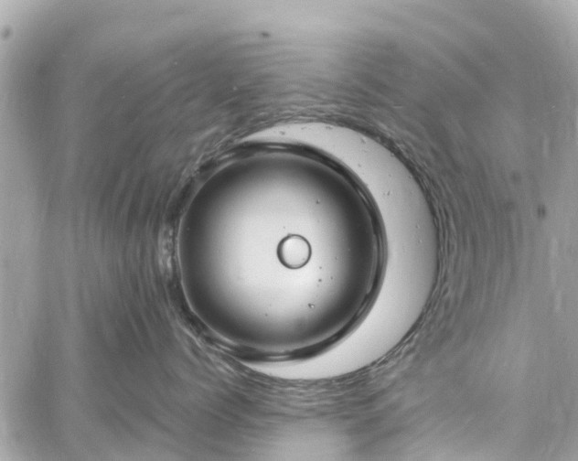 X0000060810768200511141506