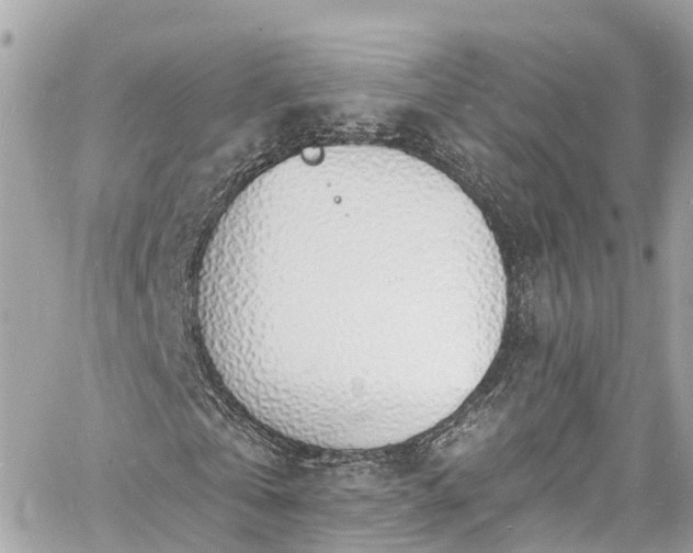 X0000060810769200511141505