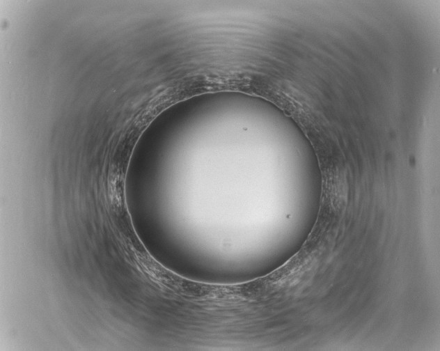 X0000060810770200511141505